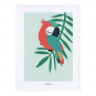 Tableau enfant Affiche encadrée Perroquet vert Lilipinso