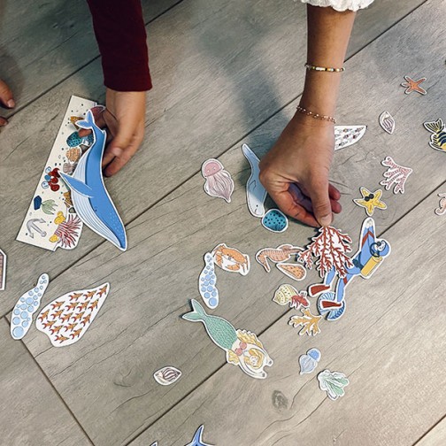 magnets-monde-marin-détachés