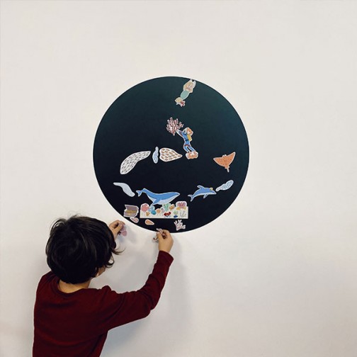 magnet-monde-marin-et-tableau-magnetique
