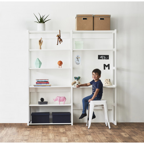 2 sections avec 8 étagères et bureau 80 x 80