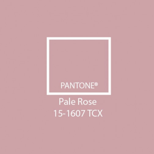 IDA-MARIE junior bed 70 x 160 – pale rose