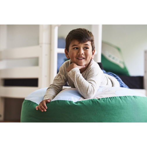 Sac de haricots, dinosaure