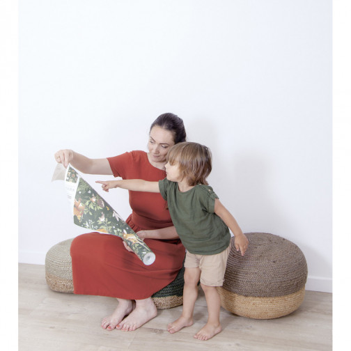 PAPIER PEINT (50 CM X 10 M) - AMIS DE...