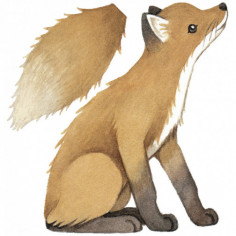 STICKER SPÉCIFIQUE - LE RENARD