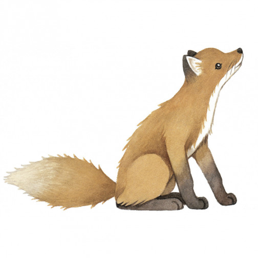 STICKER SPÉCIFIQUE - LE RENARD